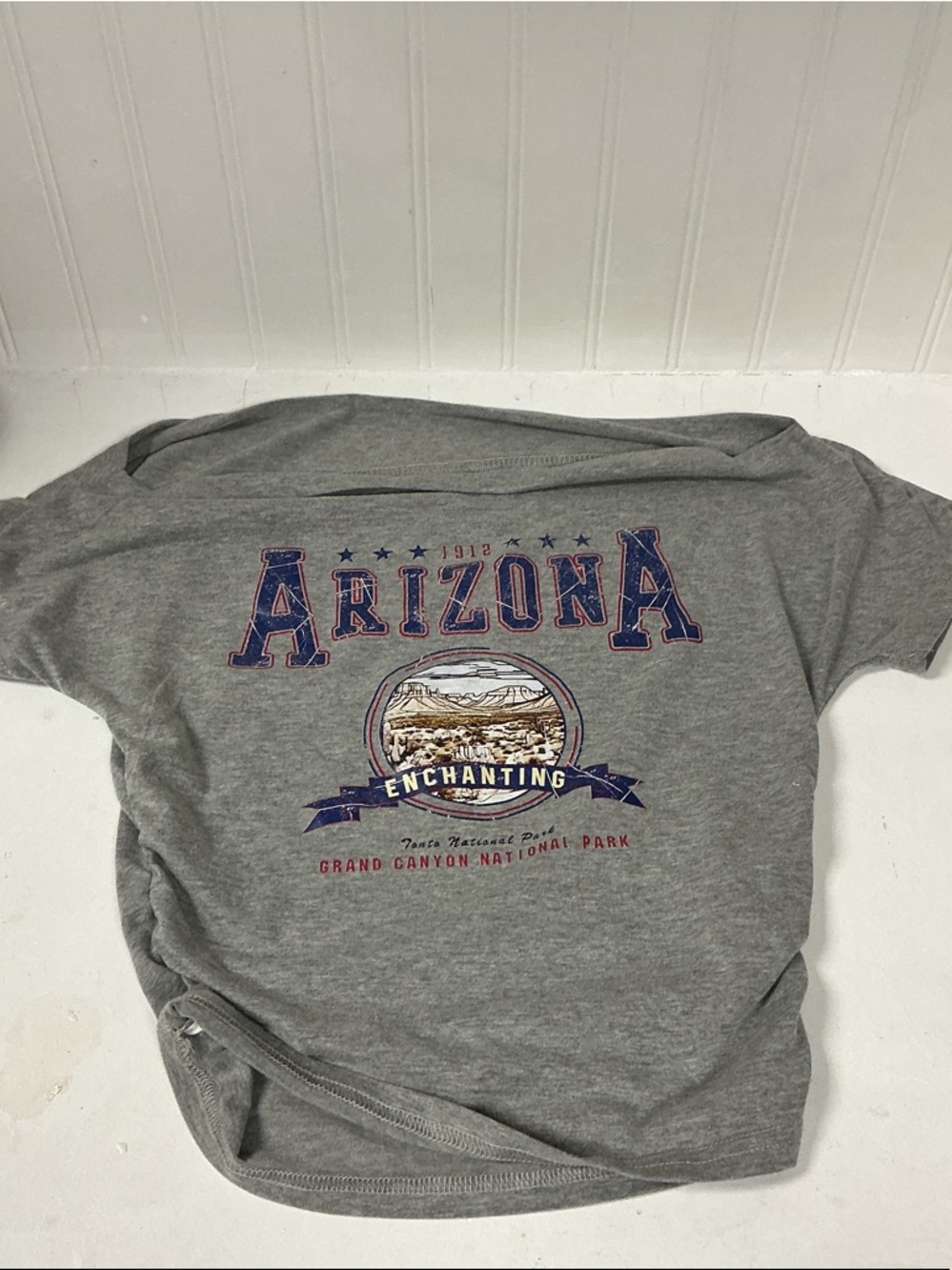 SHEIN Gray Arizona Graphic Crop Top
